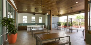 The Element Gallery 19