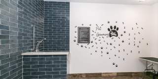 Willowest in Collier Hills Willowest in Collier Hills Gallery 28