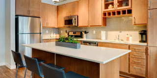 The Island Residences at Carlson Center Gallery 18