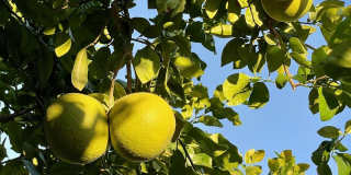 43622 Warner Trail Gallery 50