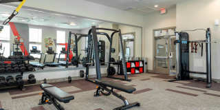 Eightyone10 Blue Goose Gallery 20