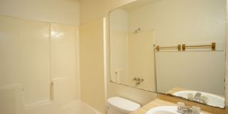 2/1 Apartment in East Austin Gallery 7