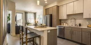 Allaso Vineyards Gallery 1