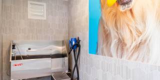Chaparral Apartments Gallery 36