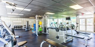 Sophia Square Gallery 9