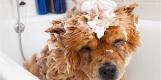 City Line East Gallery 34