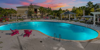 Atlantic Palms Gallery 6