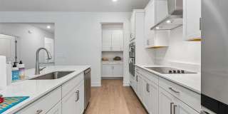 18542 Serene Lake Loop Gallery 28