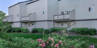 The Boulevard Gallery 23