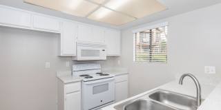 Mountain Springs Gallery 56