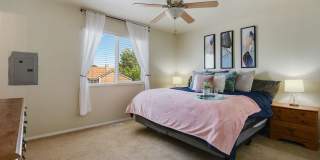 Bright & Updated Ranch in Pueblo West! Gallery 9