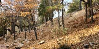 Lake Rights Property!! Terrific Alpine Chalet!! Gallery 15