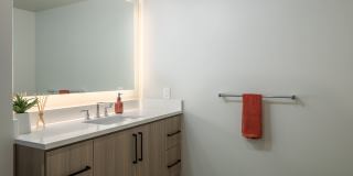 The Merian Gallery 24