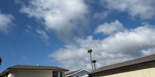 Maple Apartments Gallery 1