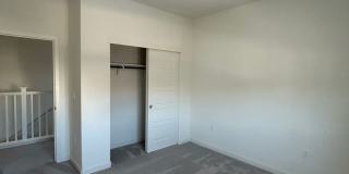 PET FRIENDLY Gallery 23