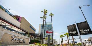 Alister Sherman Oaks Gallery 25