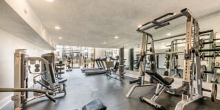 Alister Apartments Gallery 14