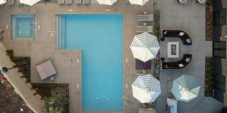 Folia Gallery 76