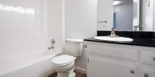 Volterra at La Mesa Gallery 60