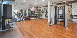 RISE Sereno Gallery 26