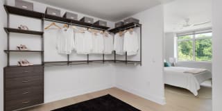 The Duchess Gallery 32