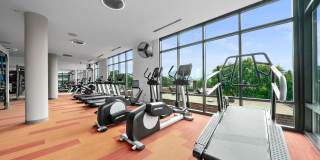 Arya Peachtree Gallery 24