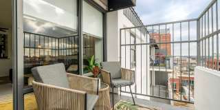 Iris Gallery 10