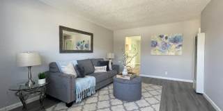 Summer Woods Gallery 10
