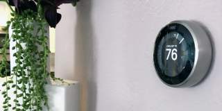 Elon at Winter Park Gallery 13