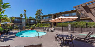 Elán Avante Apartment Homes Gallery 16