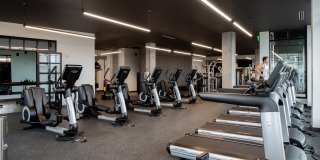 Modera Art Park Gallery 29