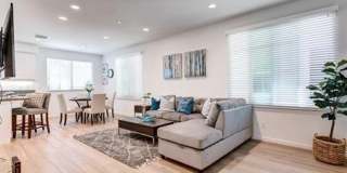 177 Carmine - 1 Gallery 15