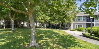 Ridgewood Gallery 21