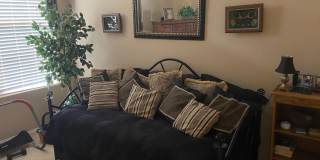 60460 Desert Rose Drive Gallery 11