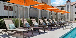 Twin Palms Gallery 5