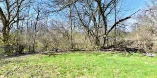 Charming 3-Bedroom Home Near Forest Manor Elementary! Gallery 15