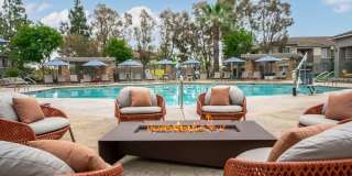 Camino Real Gallery 6