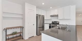 332 Elephants Ear Gallery 6