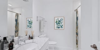 Rosslyn Heights Gallery 38