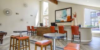 Renaissance Gallery 23