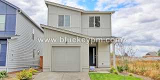 3 Bed, 2 Bath Home Located in Orchards Gallery 1