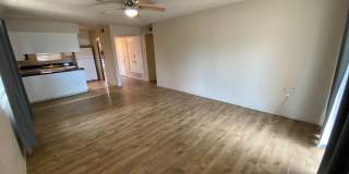 919-923 Alvarado Gallery 3