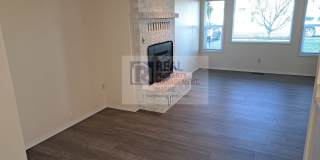 Newly Updated 3 Beds, 2 Bath Home on Quiet Street Gallery 8