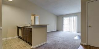 Bluff Ridge Gallery 11