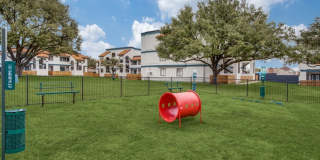 Mateo Apartment Homes Gallery 22