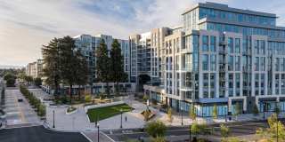 The Martin Gallery 1