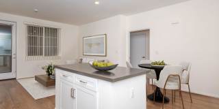 Vineyards Gallery 163