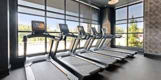 Madison West Elm Gallery 62