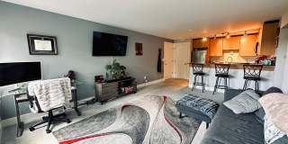 Sunny 1 bed 1 bath condo in Fremont Gallery 8