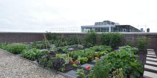 3833 N Broadway Gallery 380